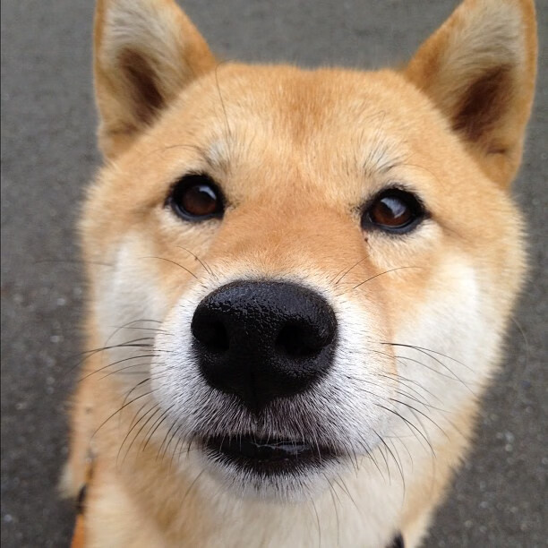 全国篮球明星对抗赛，星光璀璨的运动盛宴，篮球明星比赛