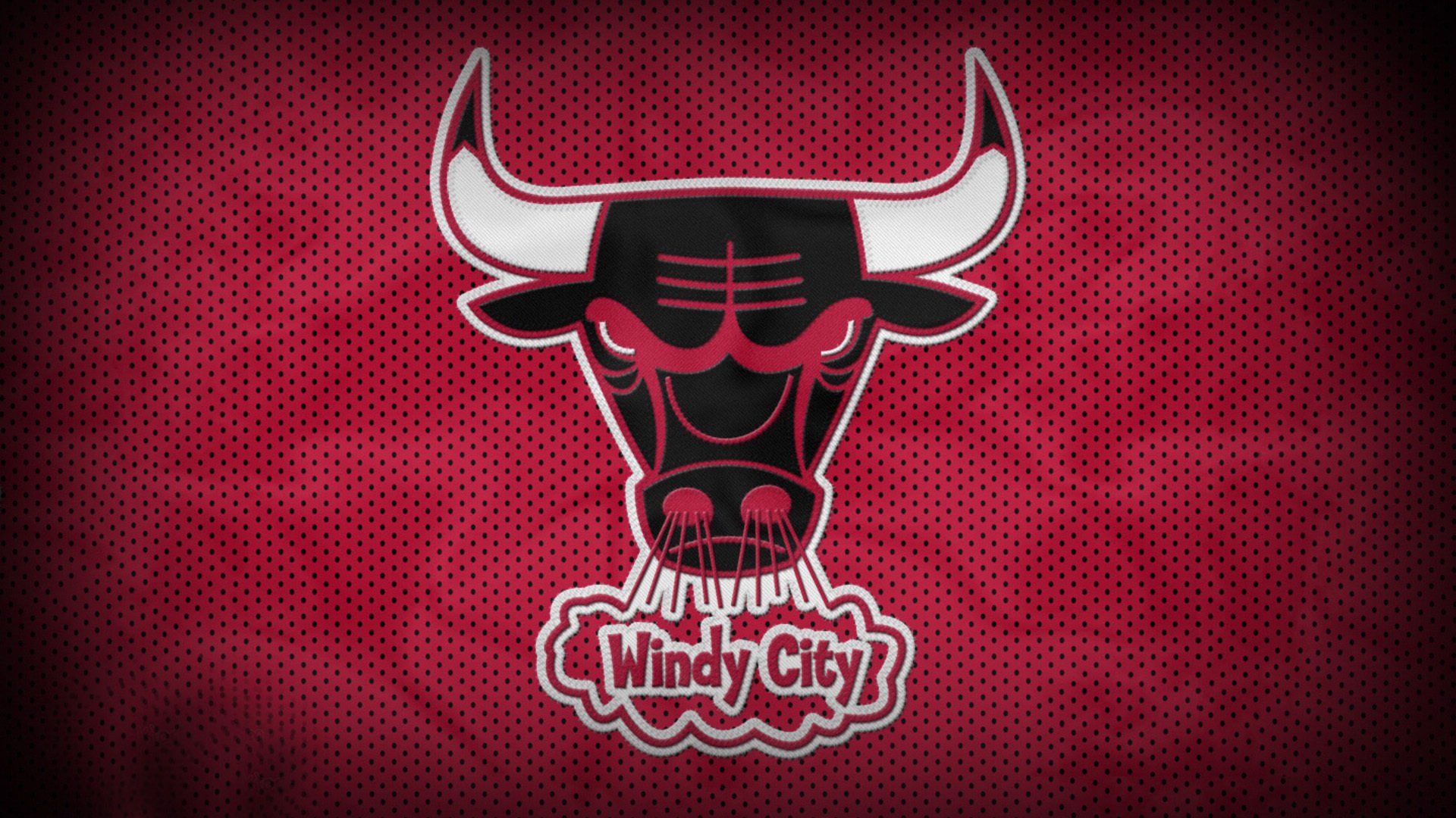 训练视频展现专业水准,训练视频教程