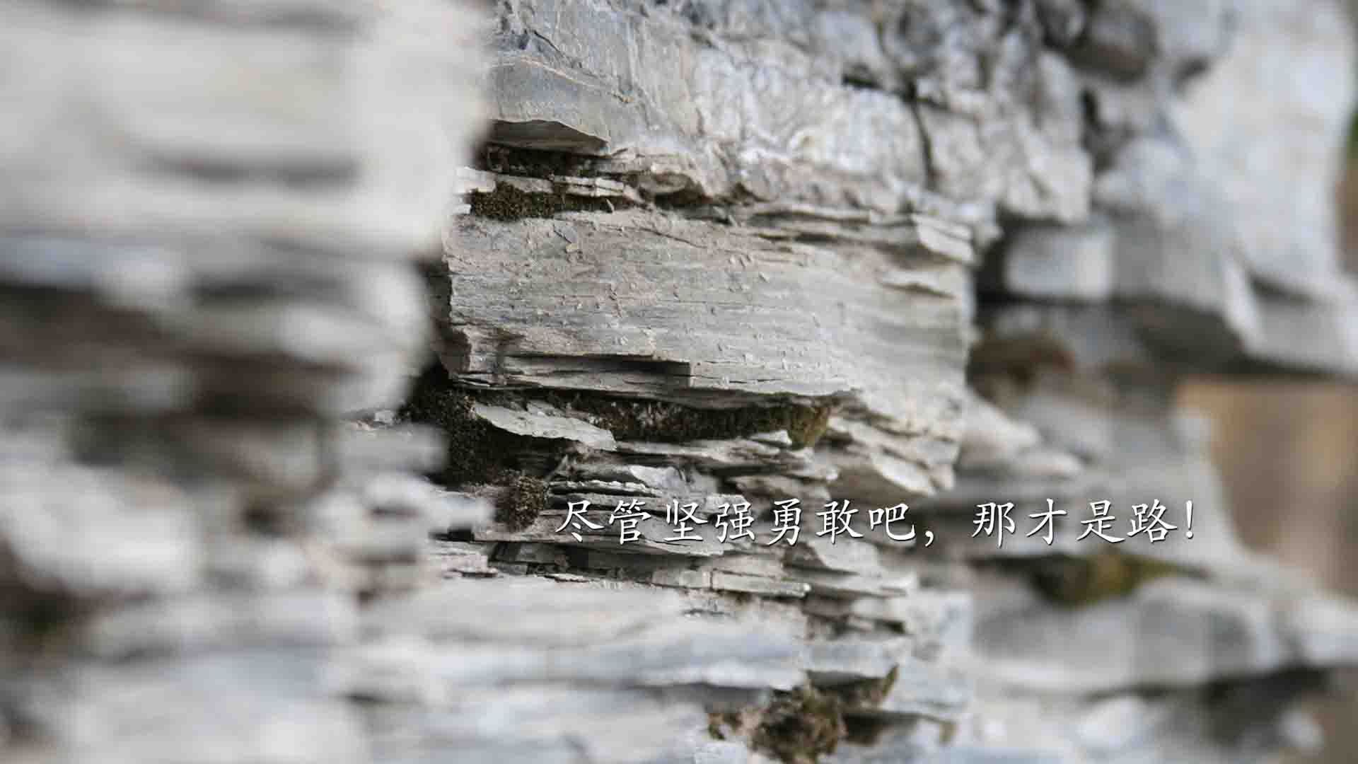 九游网页版官网-2025环法中国赛确认落户广州，筹备工作启动，2021环法中国赛