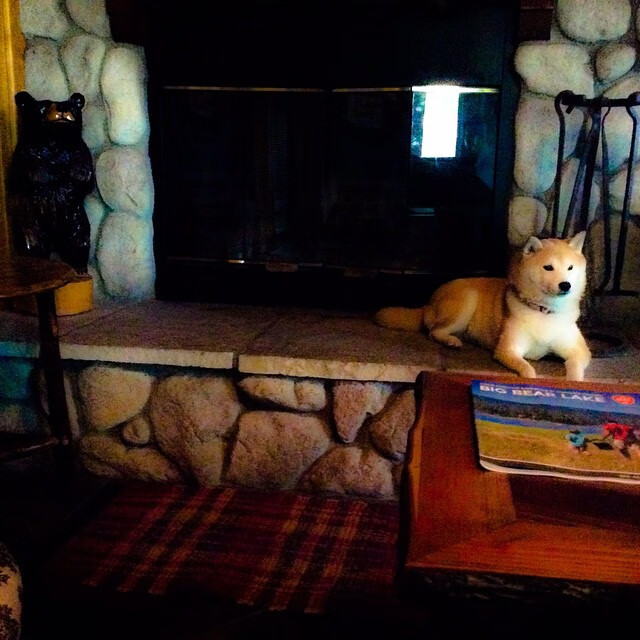 “危机生死线:赛场上的救援奇迹”,危机剧情